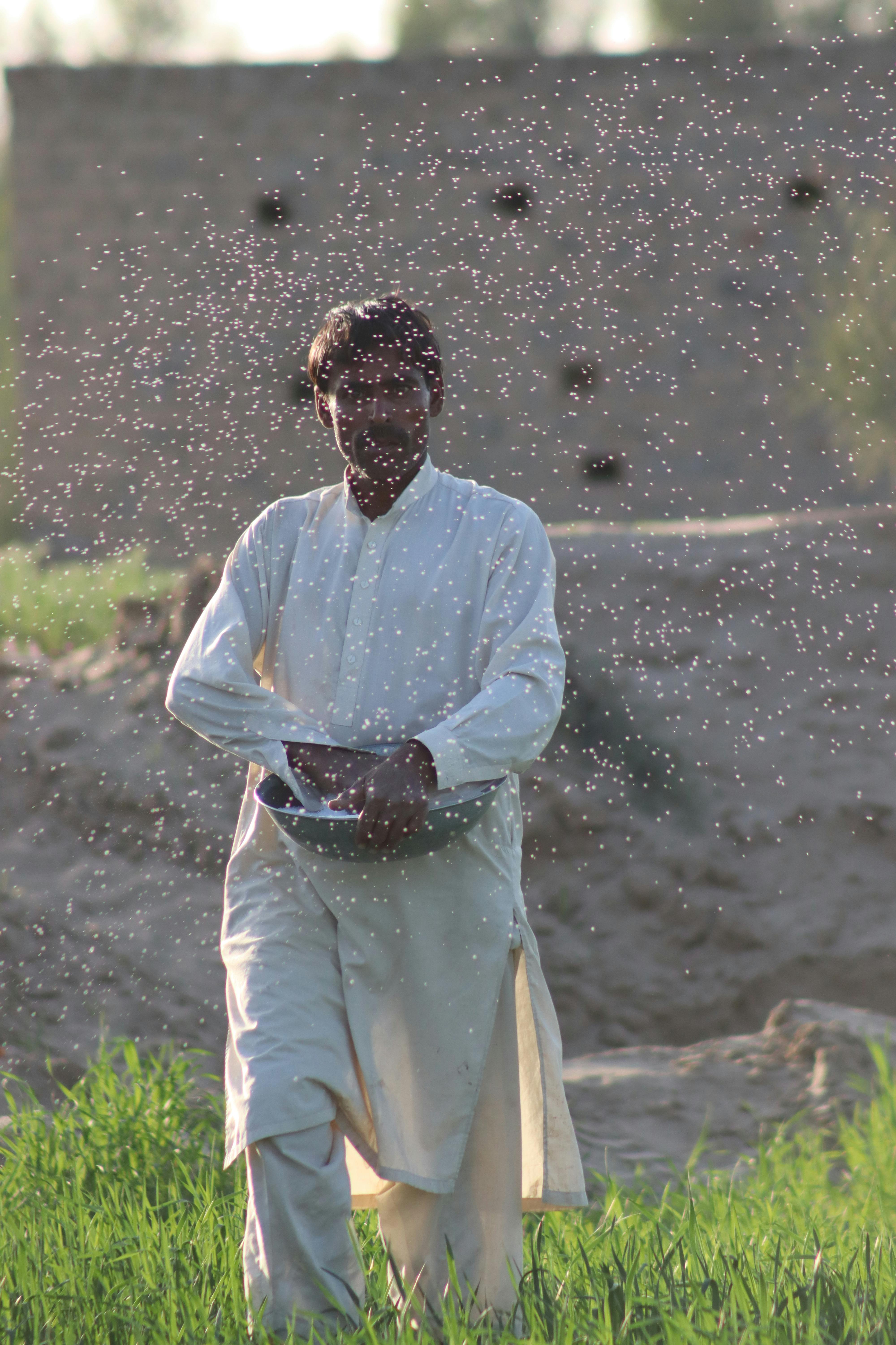 Farmer Education