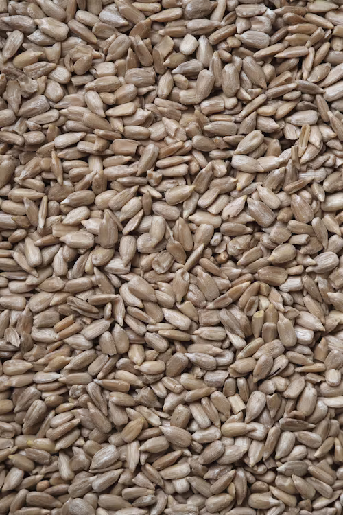 Kaveri Super 5 Hybrid Paddy Seeds